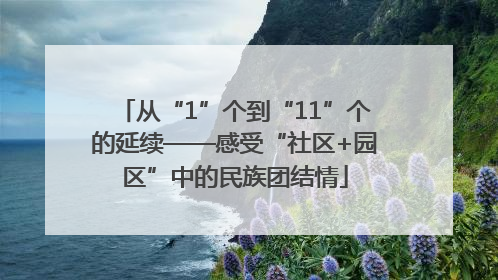从“1”个到“11”个的延续——感受“社区+园区”中的民族团结情